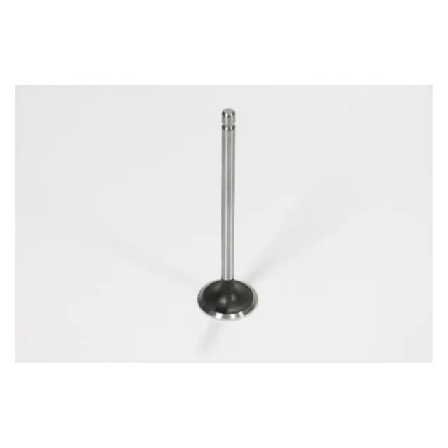 BMC 415-625 Intake Valve 3940735 3802924 2034P