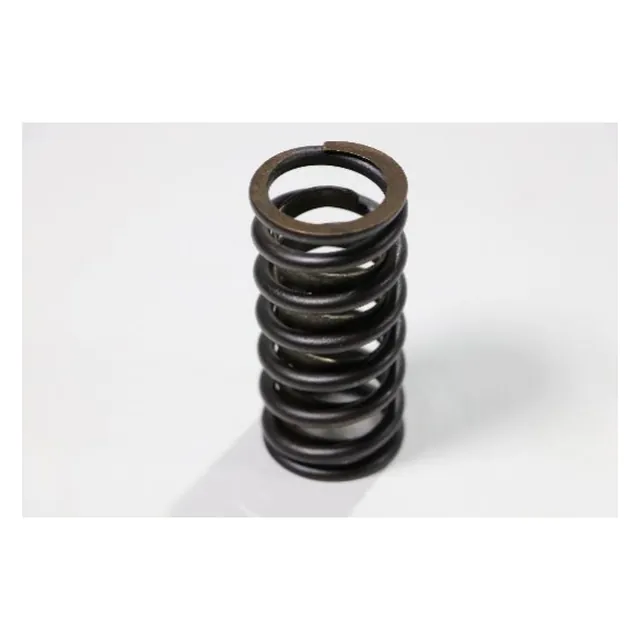 Dev Exhaust Valve Spring