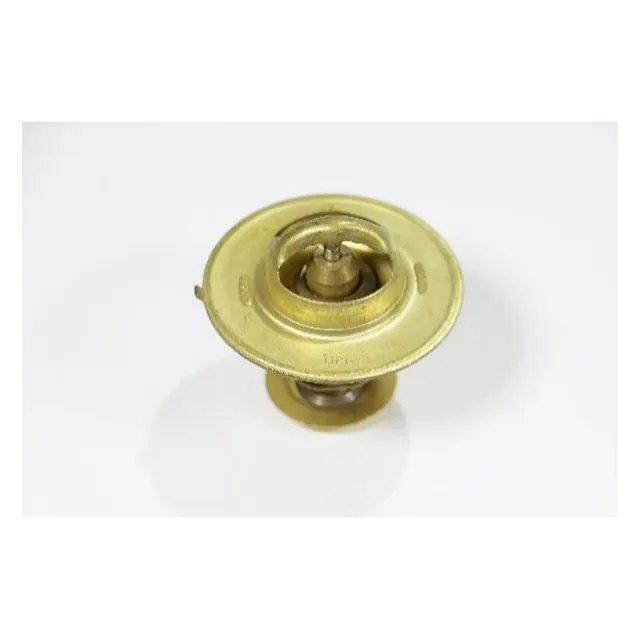 74 - 162 Termostat