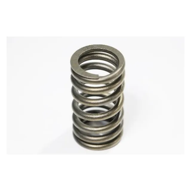 162 Intake Valve Spring