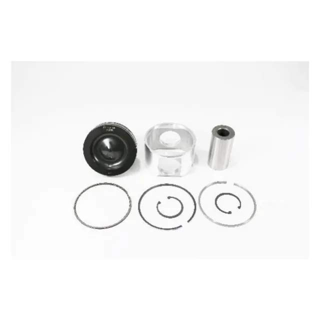 ISM-QSM-Piston+Segman Pim (Çift Parça)