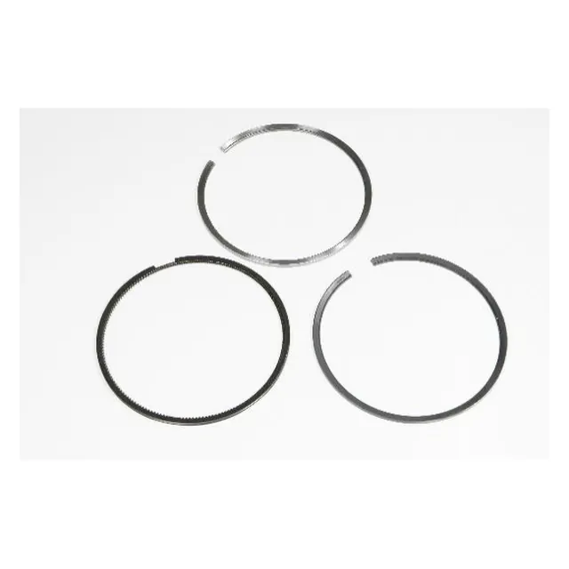 Dev CT Piston Ring Set (6 pcs)