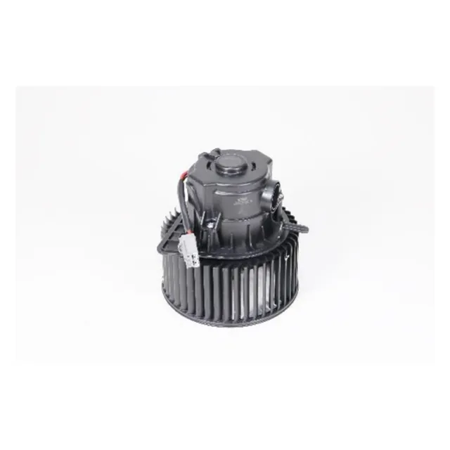 Cargo F.Max Heater Motor 24V